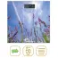Image carousel