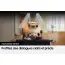 Image carousel