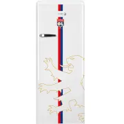 Réfrigérateur 1 porte FAGOR FSPR194OLW