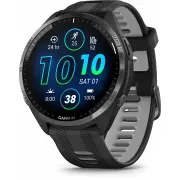 Montre connectée GARMIN 010-02809-10