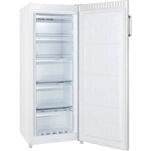 Congélateur armoire FAGOR FNF6166EW - 2 Congélateur armoire FAGOR FNF6166EW - 2