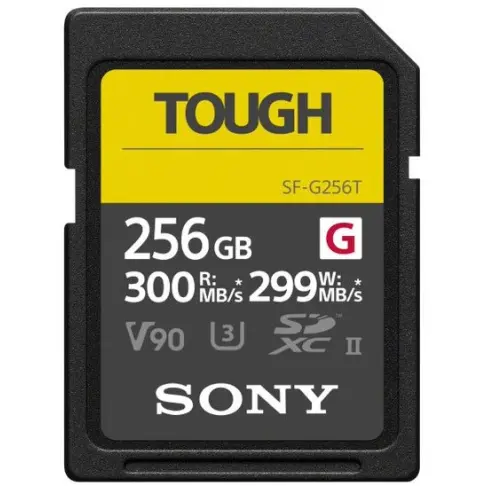 Carte mémoire SONY SFG 256 T - 1