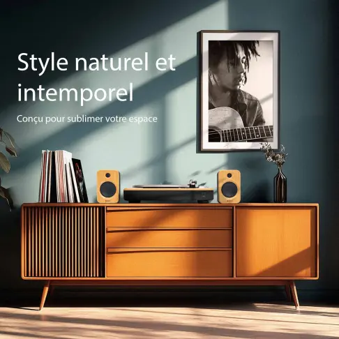 Platine disque  STIRITUPBLUETOOTH2 - 15