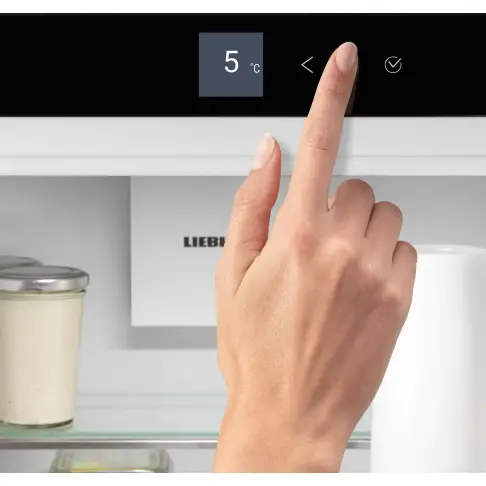 Réfrigérateur 1 porte LIEBHERR RBSFC5220-22/1 - 9