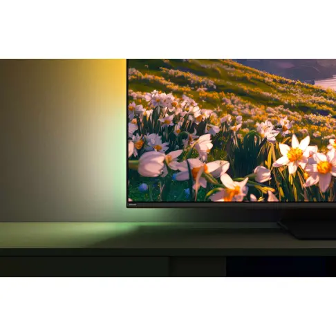 Télé led 43'' PHILIPS 43PUS8600/12 - 6