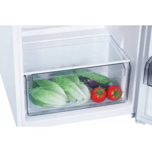 Réfrigérateur 1 porte AMICA AF 5201 - 9