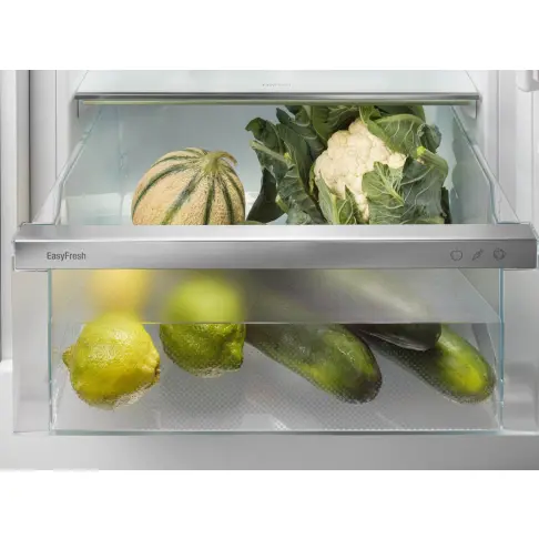 Réfrigérateur table top LIEBHERR RDI1620-20 - 7