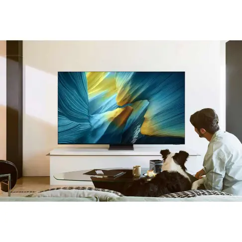 Tv oled 65'' SAMSUNG TQ65S95F - 7