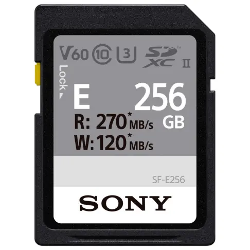 Carte mémoire SONY SFE 256 AE - 1