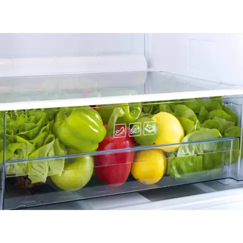 Réfrigérateur table top BEKO TSE 1403 FN - 6