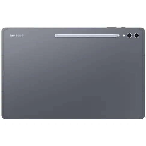 SAMSUNG Galaxy Tab S10 Ultra Wi-Fi Gris - 1To - 2