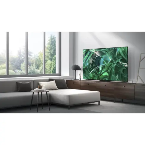 Tv oled 65 pouces SAMSUNG TQ65S95C - 8