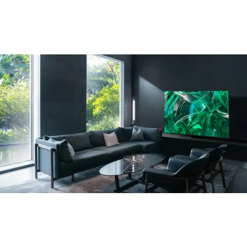 Tv oled 65 pouces SAMSUNG TQ65S95C - 9