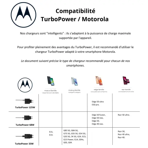 Chargeur secteur MOTOROLA MOTOCHARGER125W - 2