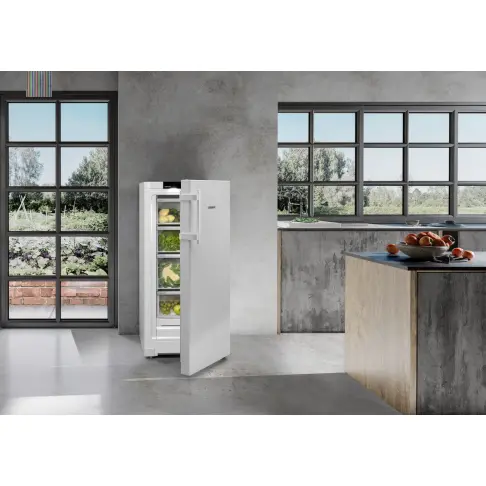 Réfrigérateur 1 porte LIEBHERR RBA30425I-22 - 6