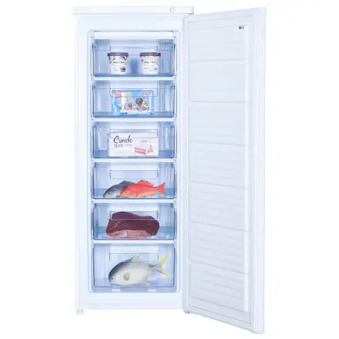 Congelateur armoire CALIFORNIA DD 1211 - 3