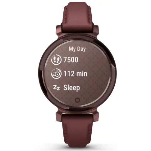 Montre connectée GARMIN Lily 2 Classic Dark Bronze 010-02839-03 - 5