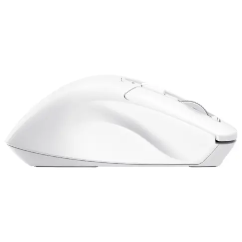 Souris TRUST 26022 - 4