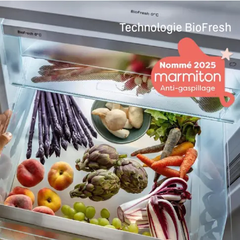 Réfrigérateur multi-portes LIEBHERR MBSDDI9524-20 - 9