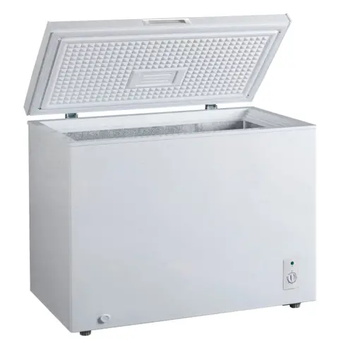 Congélateur coffre FRIGELUX CCO300BE - 2