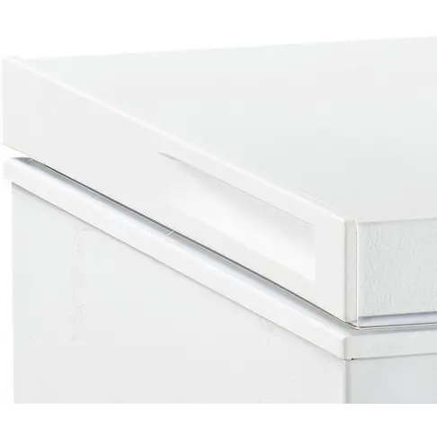 Congélateur coffre FRIGELUX CCO300BE - 3
